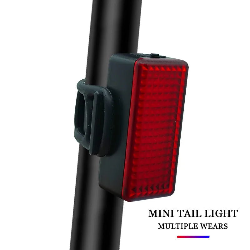 BUCKLOS USB Rechargeable LED Bike Tail Light – 6 Modes IPX5