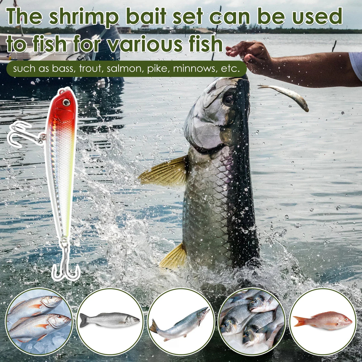 Mixed Fishing Lure Kit Set with Storage Box – 102 to 302 Pcs
