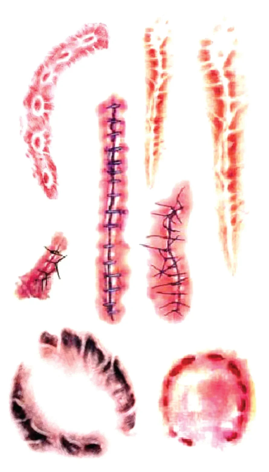 Halloween Scar Spider Temporary Tattoo Stickers – 40 Designs