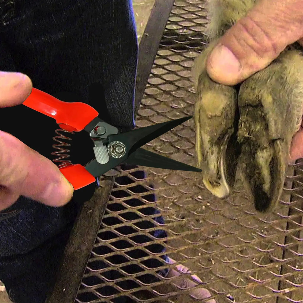 Sheep & Goat Hoof Trimmers – Stainless Steel Shears