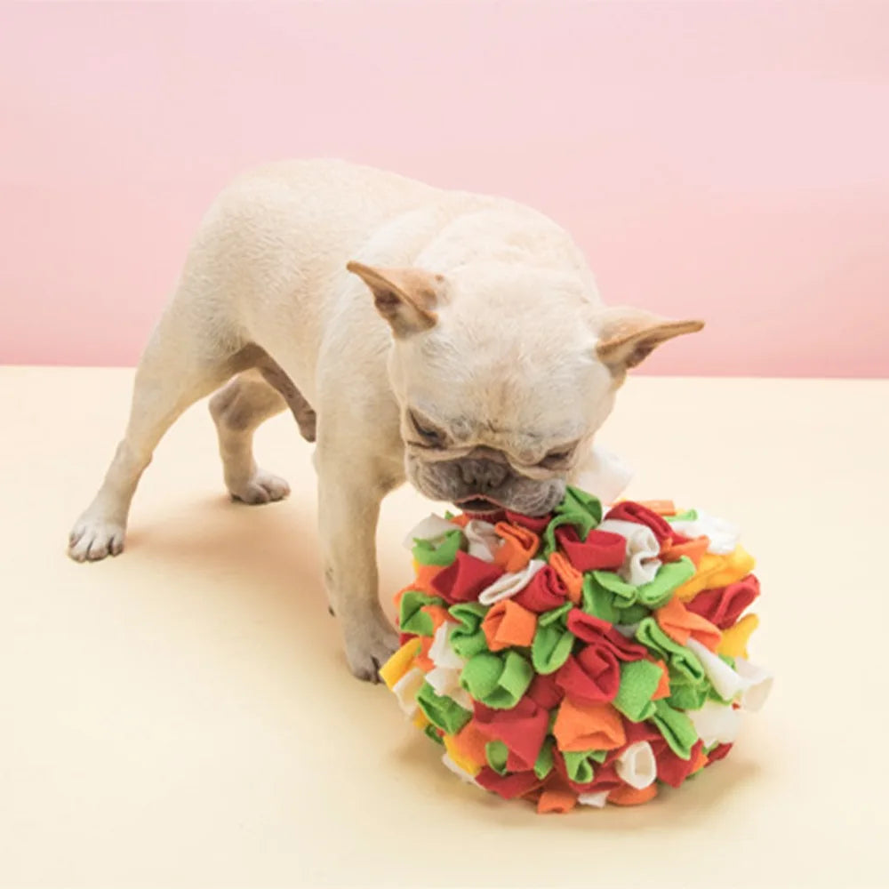Rainbow Snuffle Ball Dog Enrichment Toy – Brain Training & Slow Feed