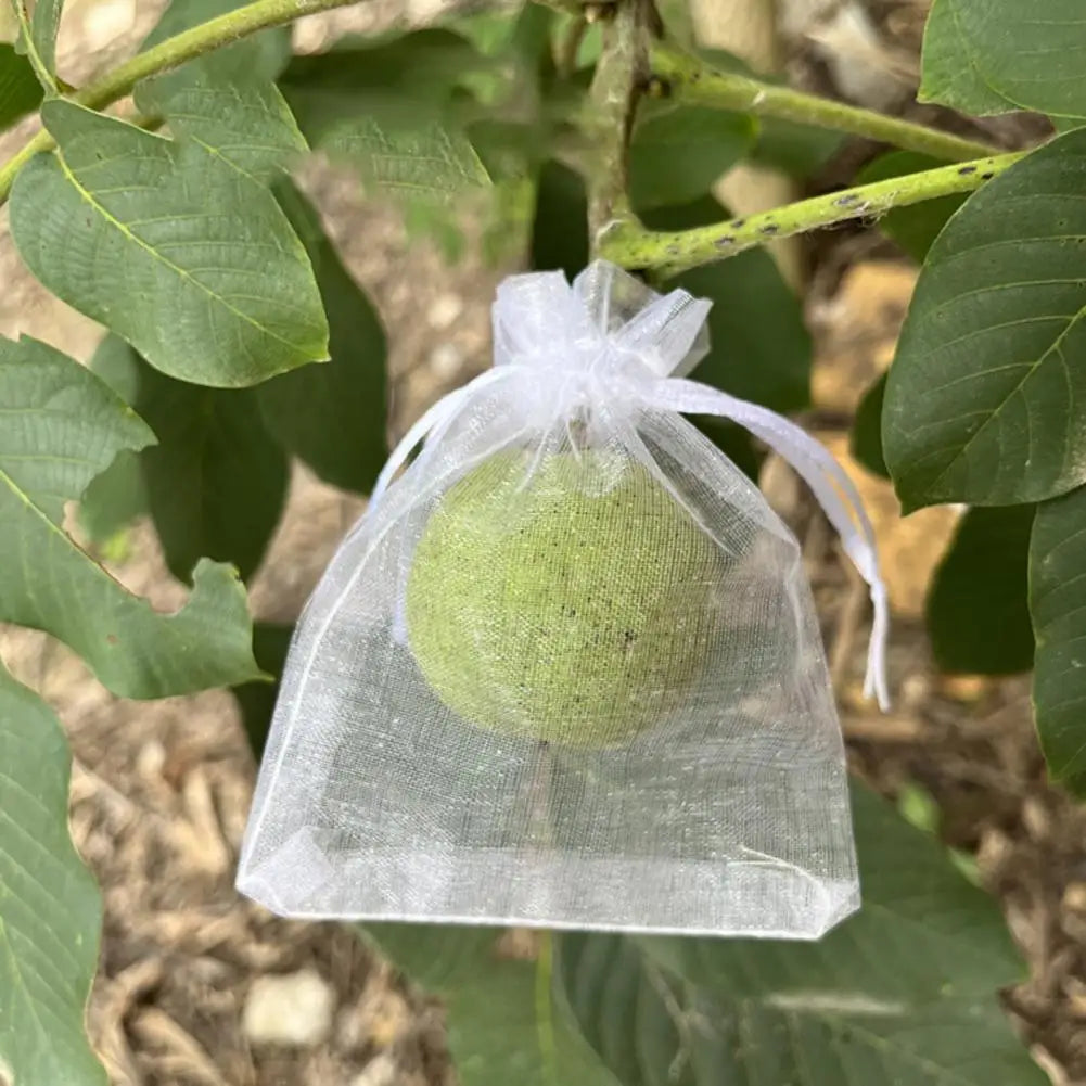 Reusable Mesh Fruit Protection Bags with Drawstring – 10–40 Pack