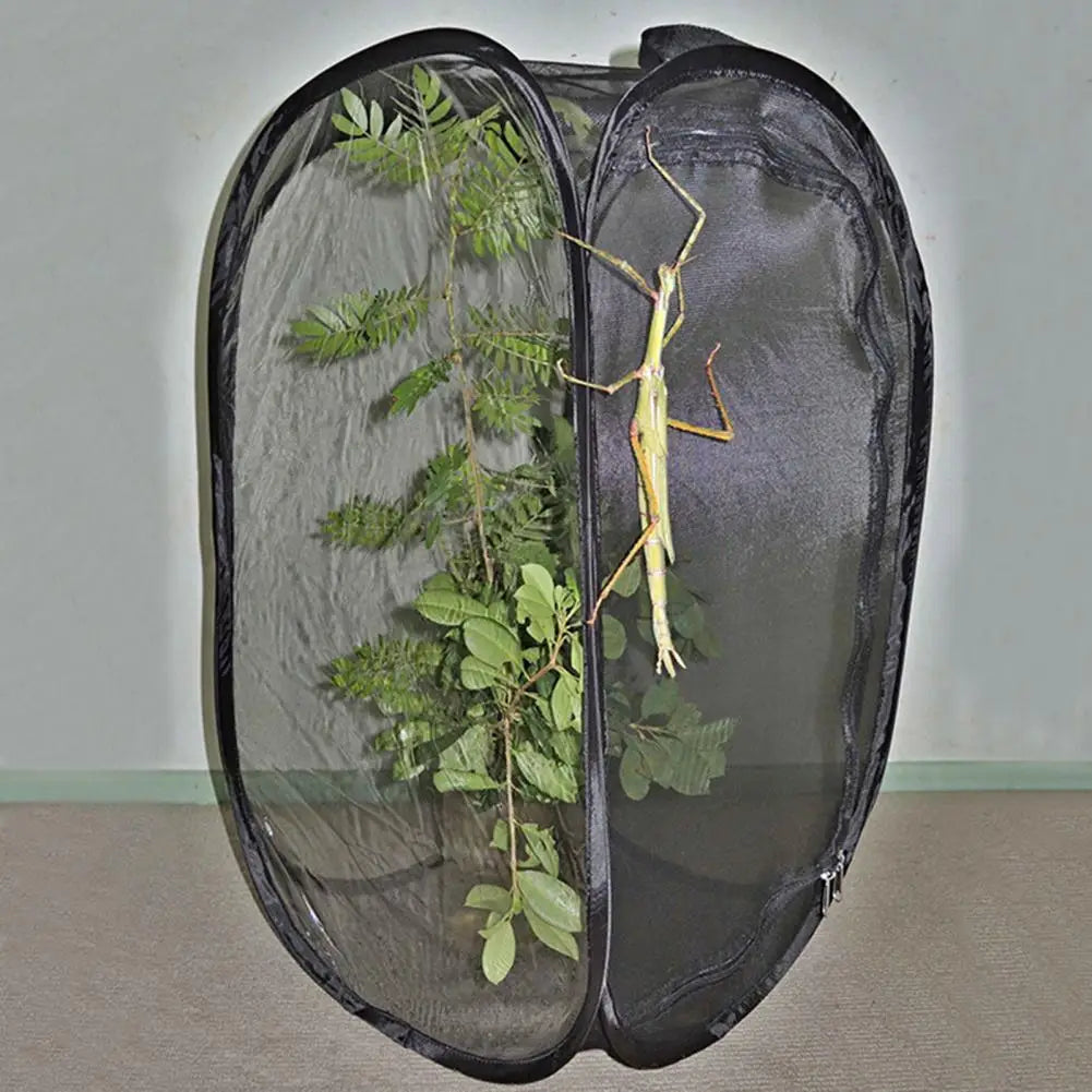Insect Mesh Habitat Cage – Butterfly & Bug Net Terrarium S/M/L