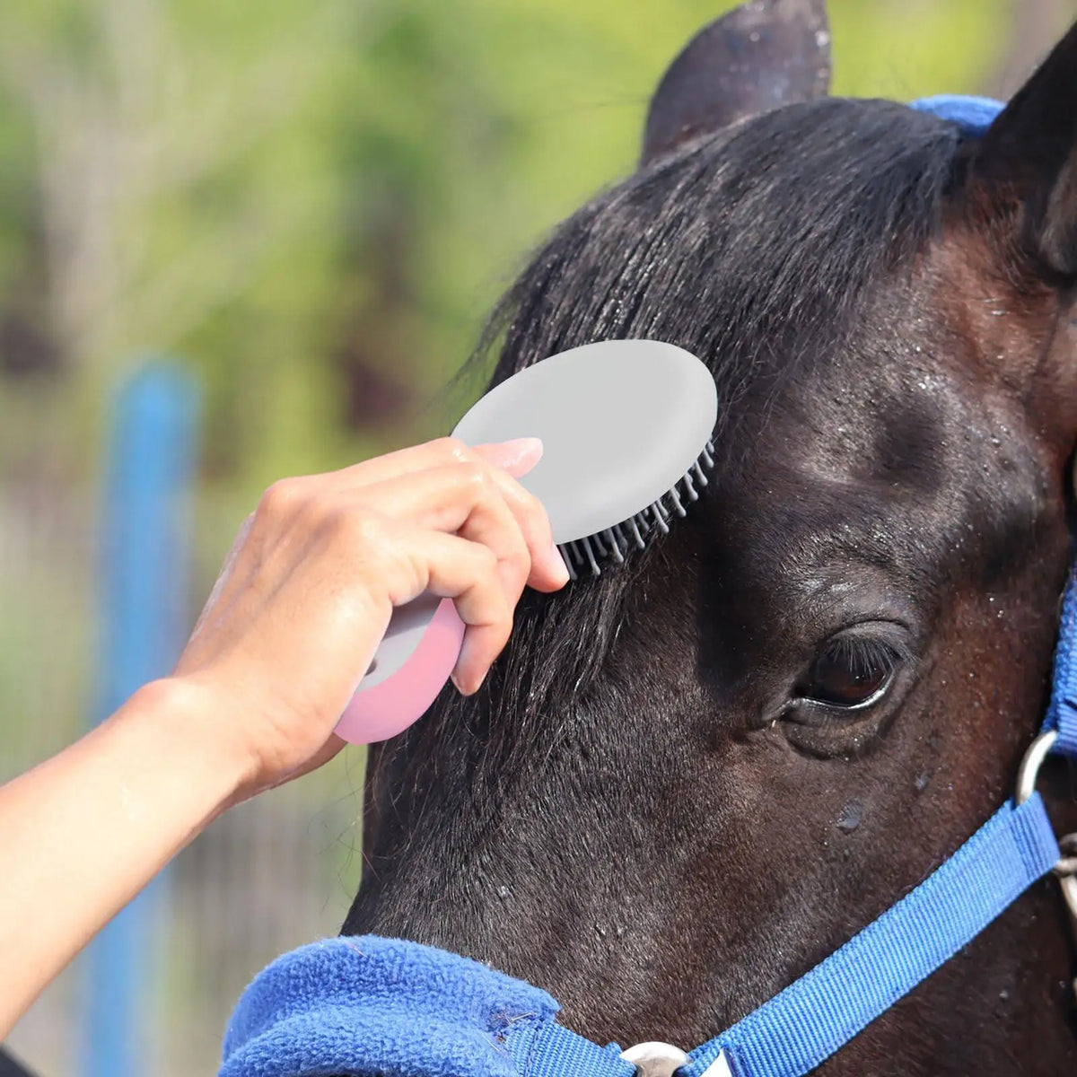 Professional Horse Mane & Tail Grooming Brush | Pearl Comb
