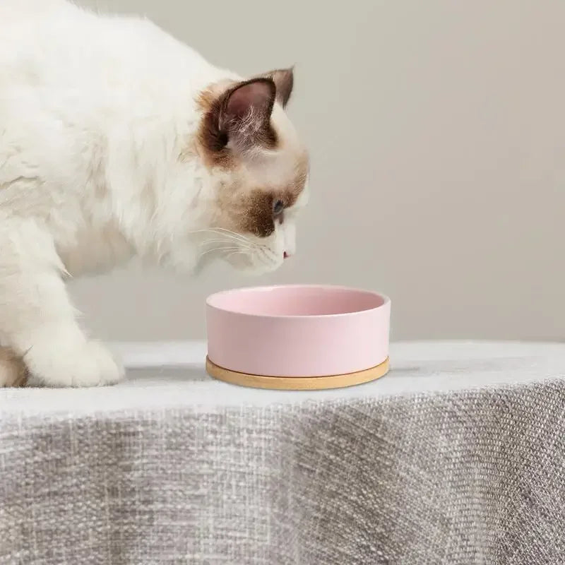 Heated Ceramic Pet Water Bowl – Thermostatic Dog & Cat Feeder