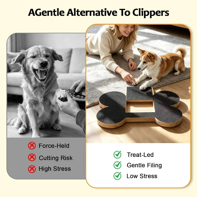 Wooden Dog Nail Scratch Board with Treat Box | Paw Care