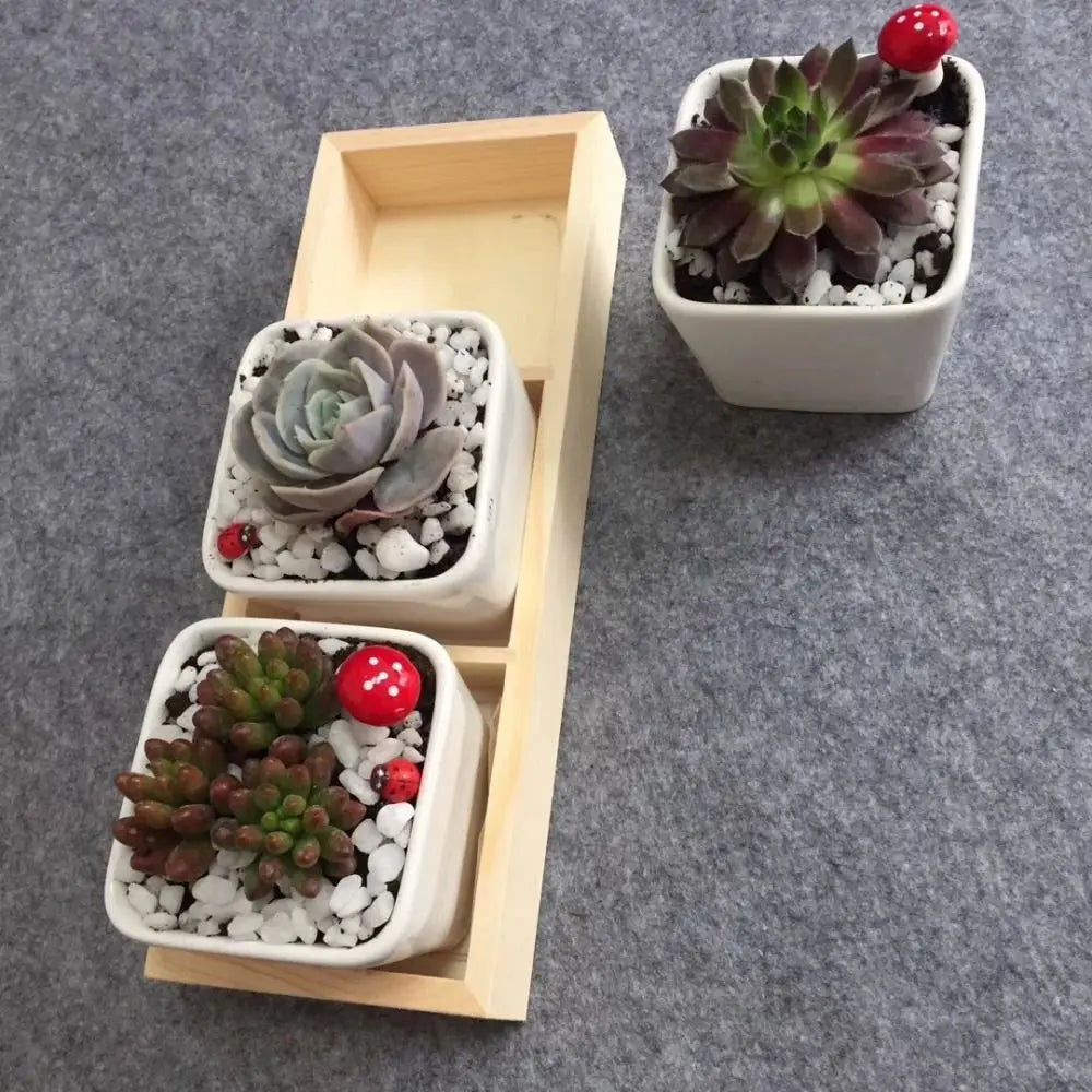 Multi-Grid Wood Succulent Tray & Desktop Organizer Holder