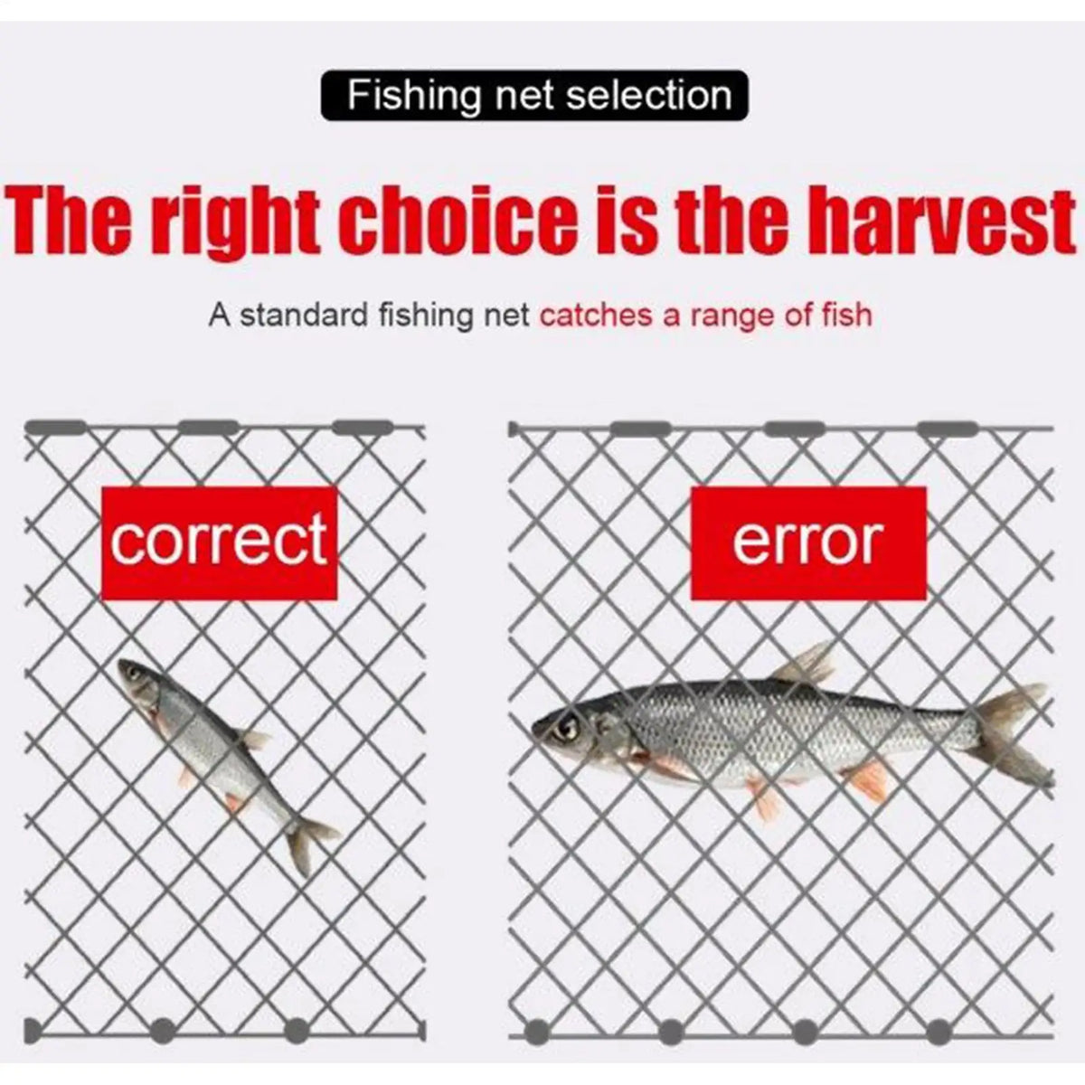 Portable Mesh Fishing Net Trap – Fresh & Saltwater Use