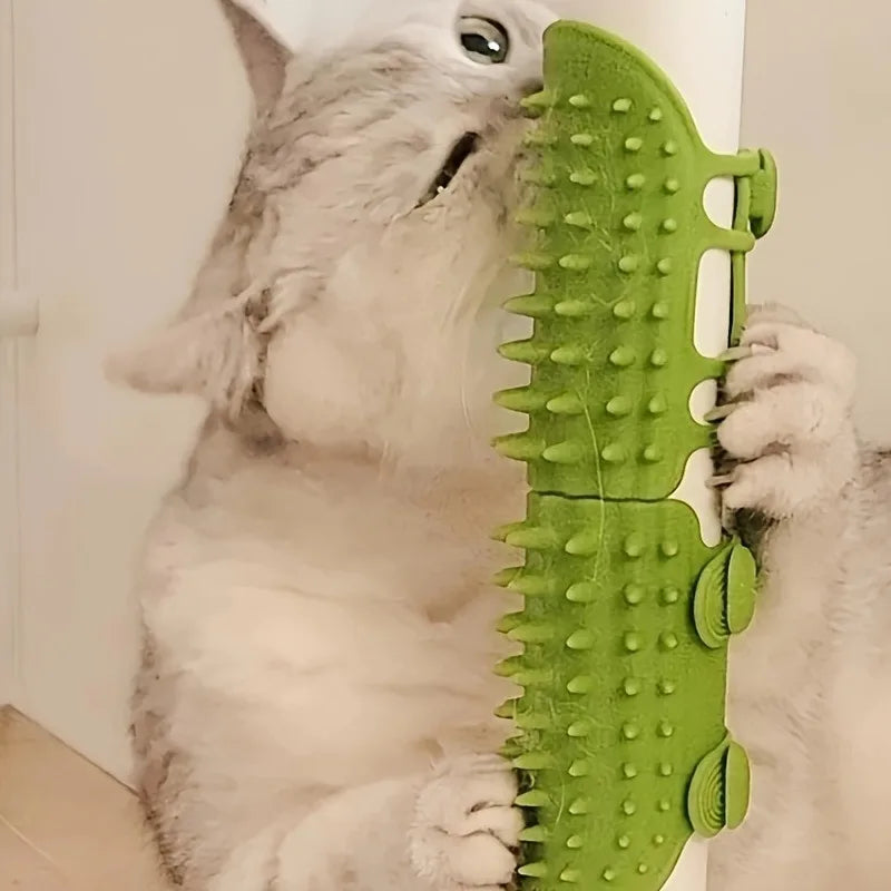 Cat Hair Removal Massage Comb & Wall Corner Scratcher