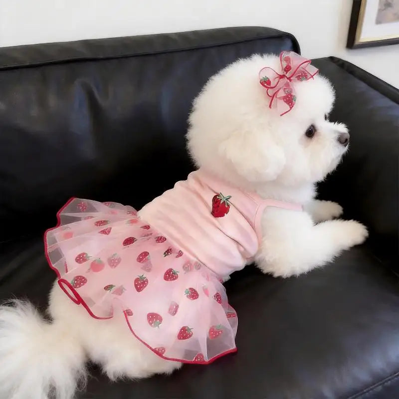 Strawberry Princess Pet Dress for Dogs & Cats – XS to XL