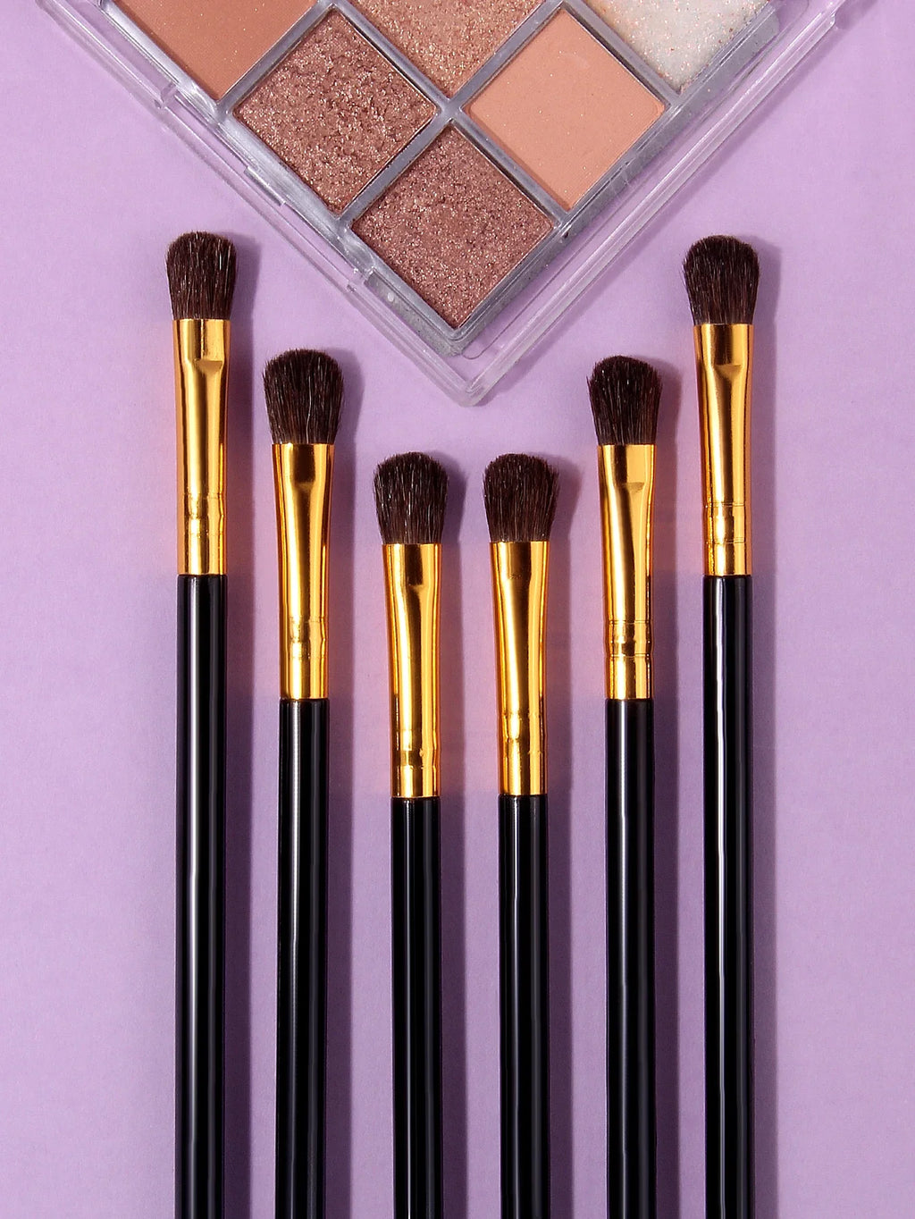 6-Piece Horsehair Eyeshadow Brush Set – Blending & Contouring