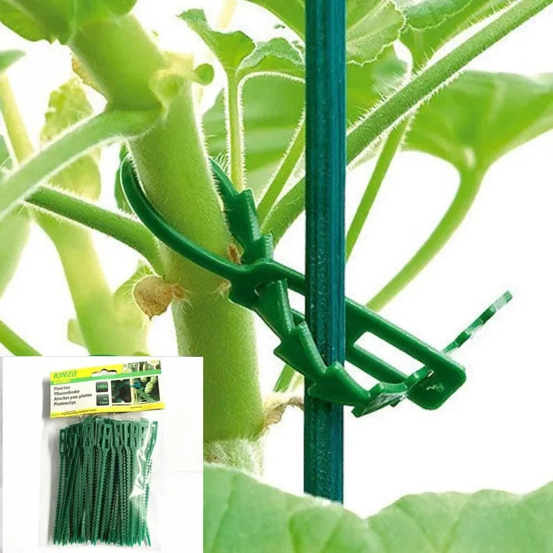 50pcs Reusable Adjustable Plant Ties – Vine & Tomato Garden Clips