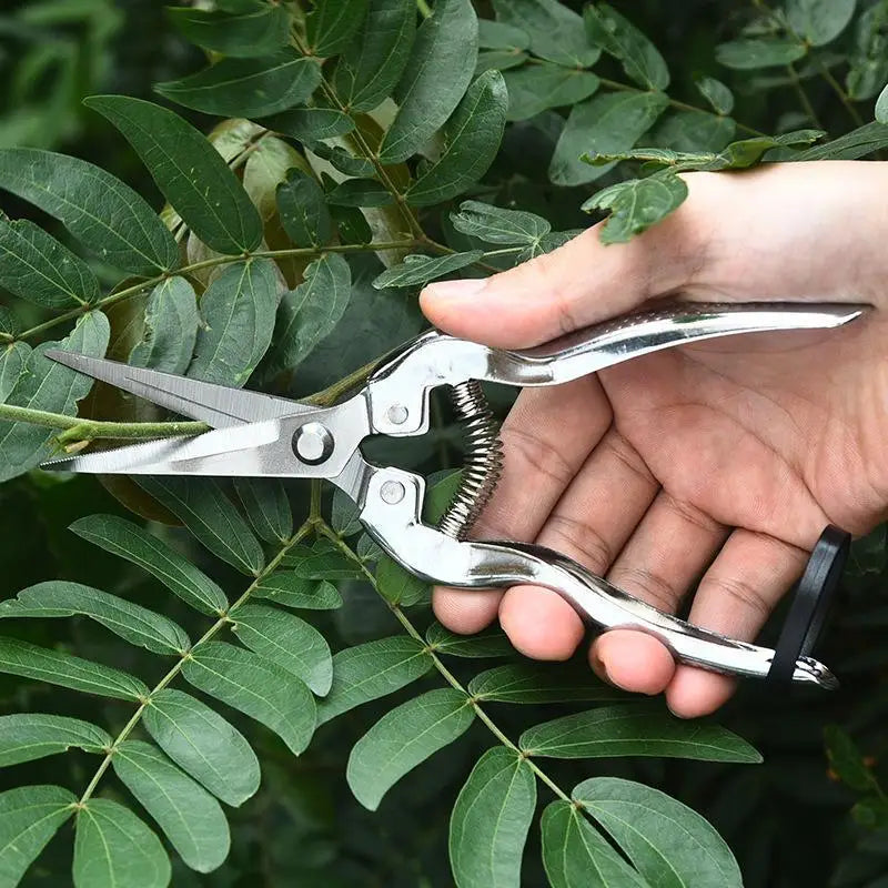 Stainless Steel Pruning Shears – Sharp Precision Garden Tool