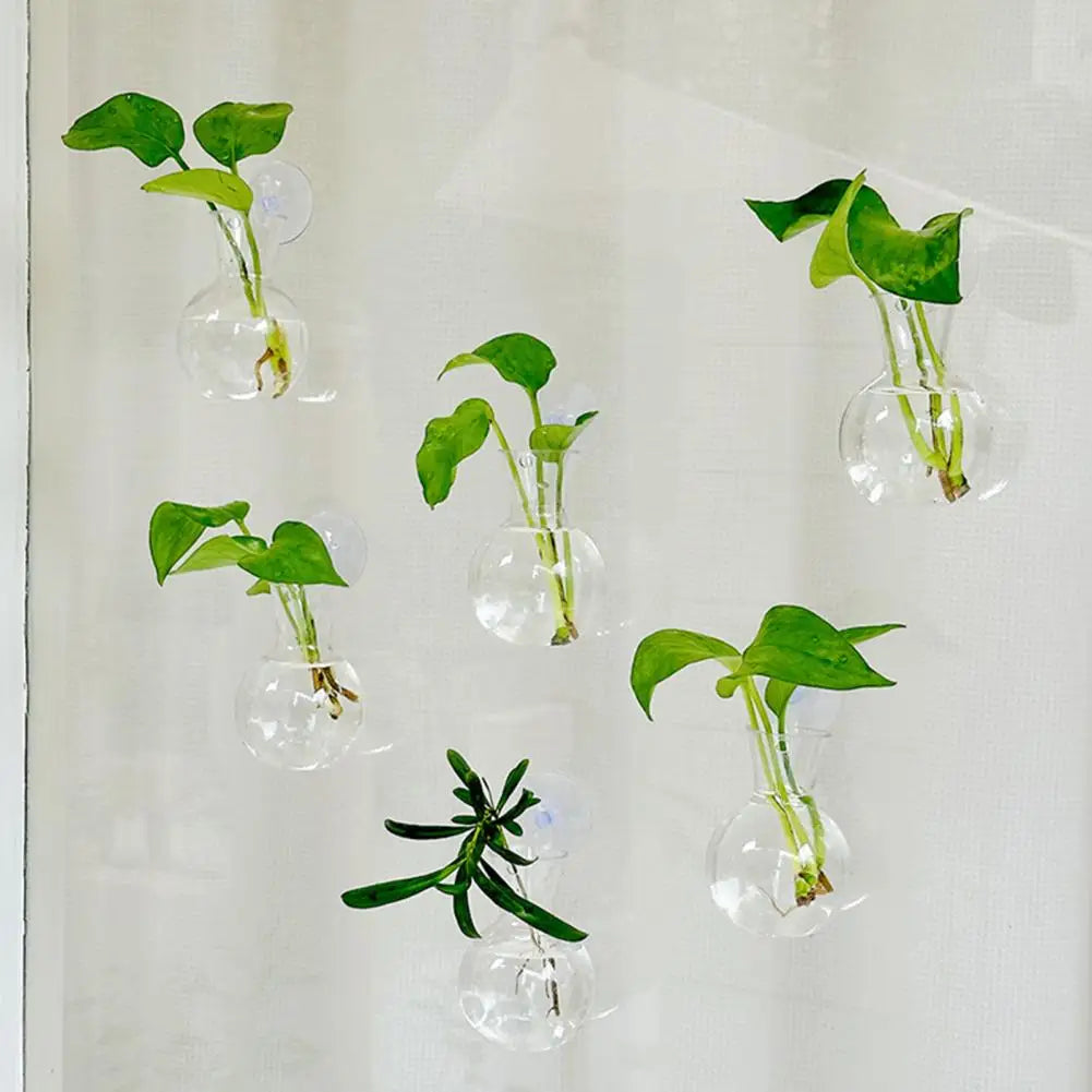 Window Propagation Station Plant Bulb Vase with Suction Cup