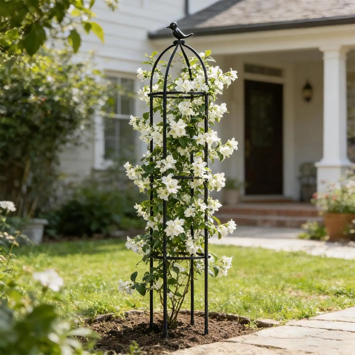 Decorative Plant Trellis | Climbing Support for Rose & Clematis