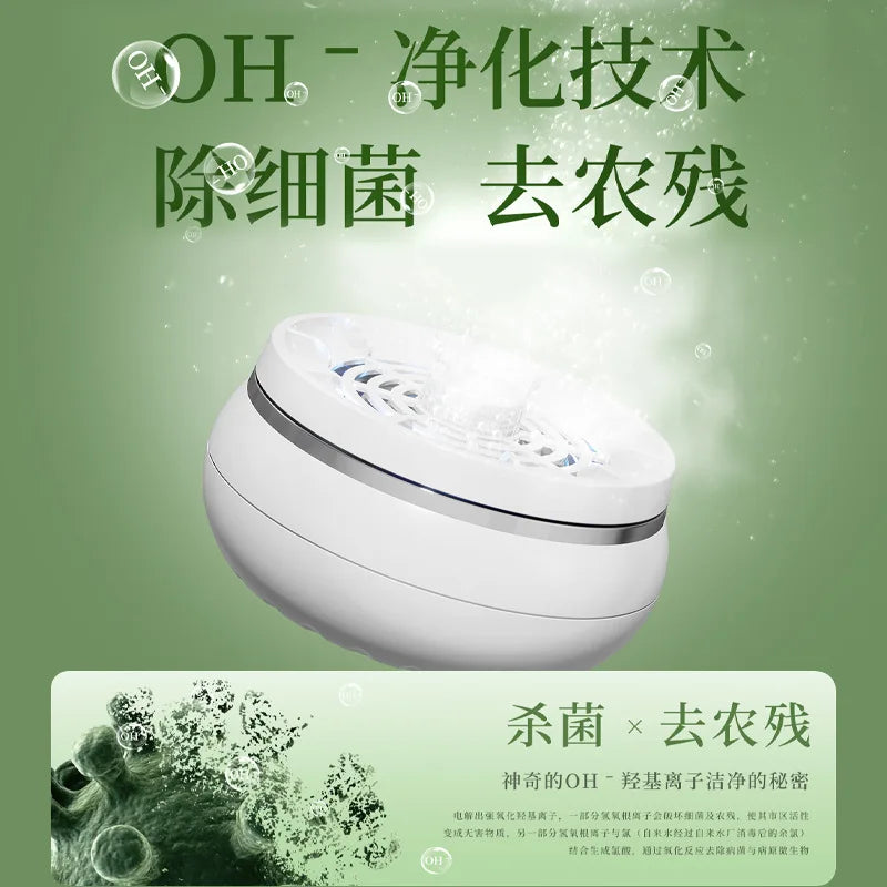 DUTRIEUX Ozone Fruit & Vegetable Washer – Commercial Grade