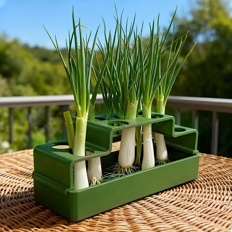 Scallion Hydroponic Growing Box – Soil-Free Reusable Planter