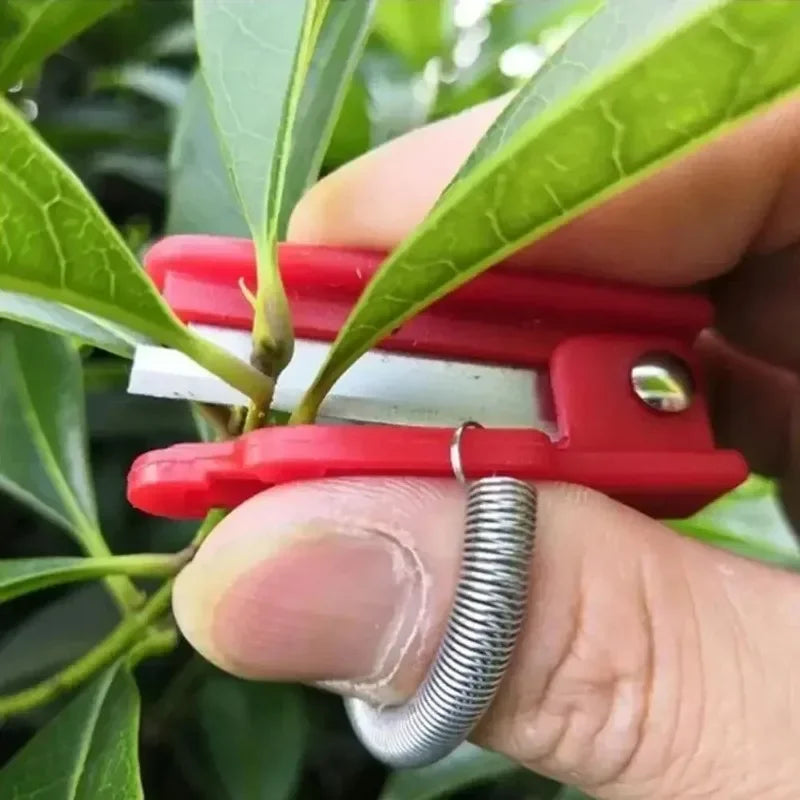 Thumb Knife Garden Pruner – Stainless Steel Fruit Picking Tool