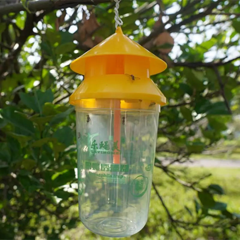 Reusable Fruit Fly Trap with 30-Day Slow-Release Lure | JETTING