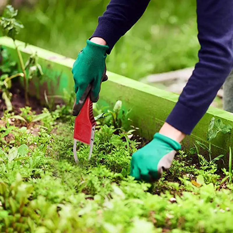 Garden Hand Loop Weeder – Ergonomic Manual Weeding Tool