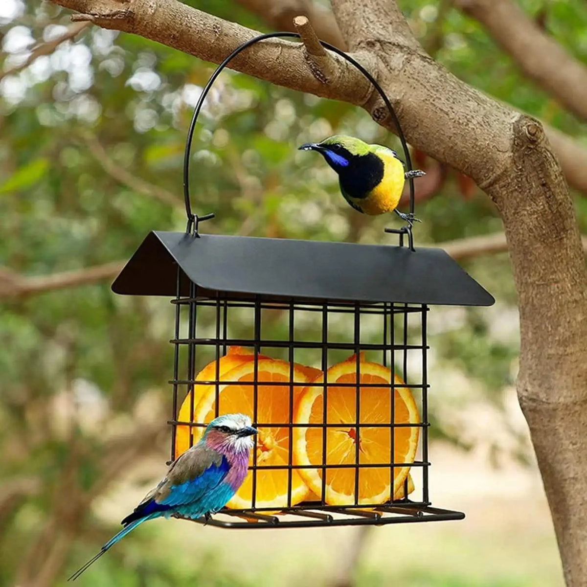 Outdoor Hanging Suet Bird Feeder with Weatherproof Roof