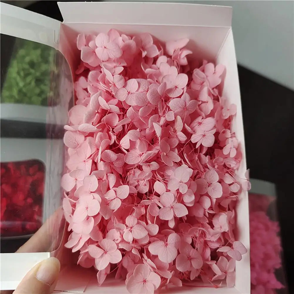 20g Dried Hydrangea Flowers – Resin, Jewelry & DIY Crafts