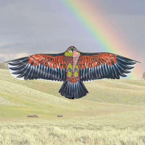 1.1m Eagle Bird Kite for Kids – 30m Line Included