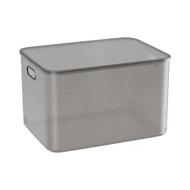 Frosted Plastic Desktop Storage Box – Dustproof Organizer