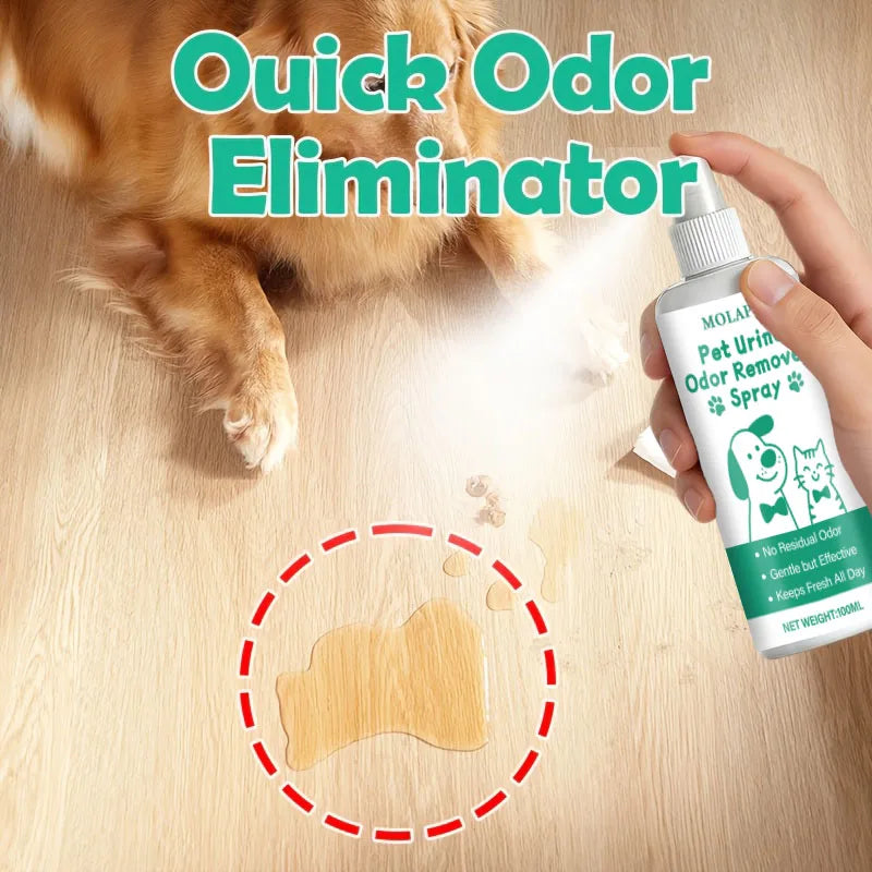 Pet Urine Odor Eliminator Spray – Carpets, Floors & Furniture