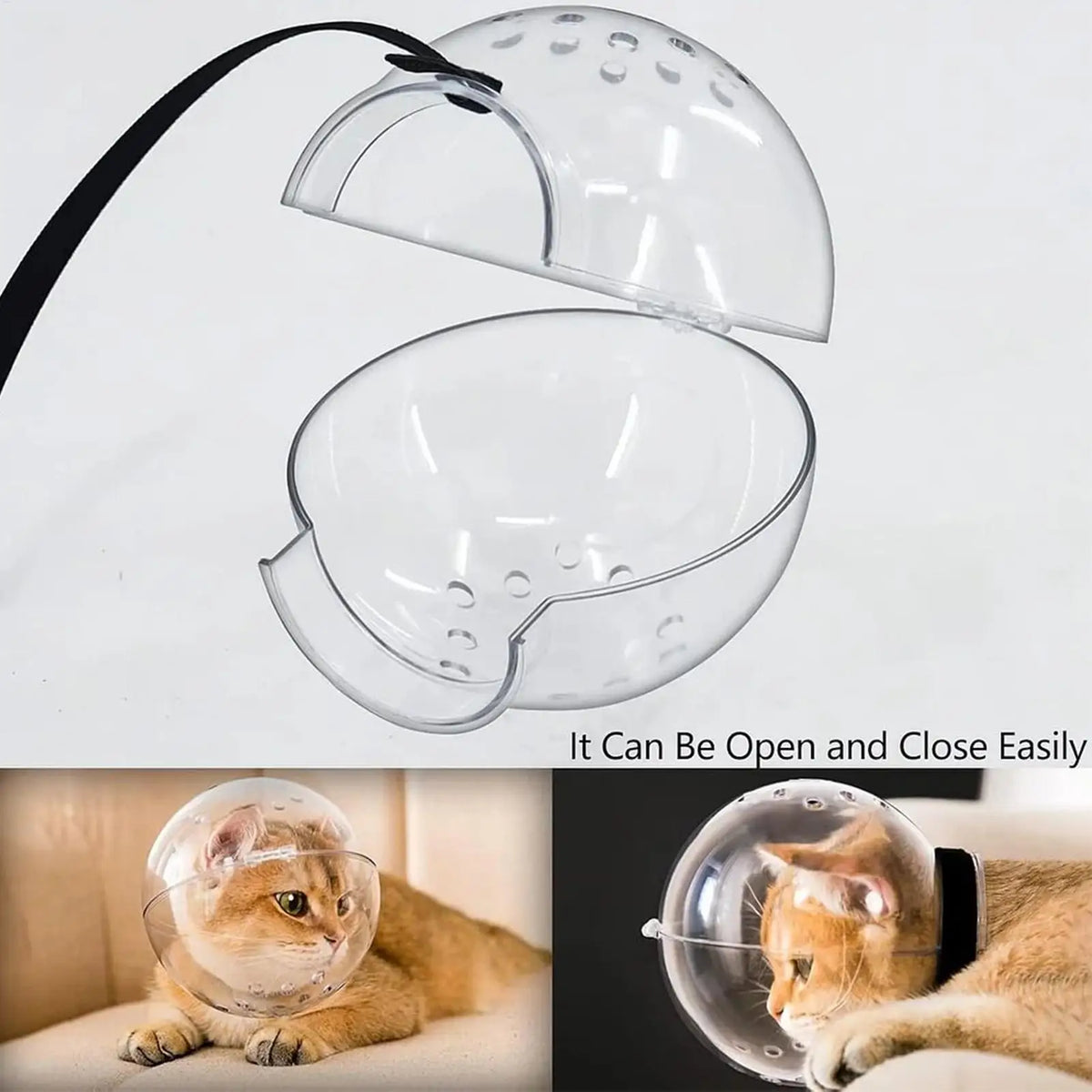 Transparent Cat Muzzle – Breathable Grooming Helmet