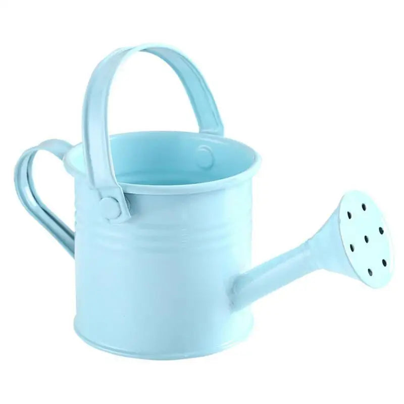 Metal Galvanized Watering Can for Garden – Anti-Rust Iron Pot