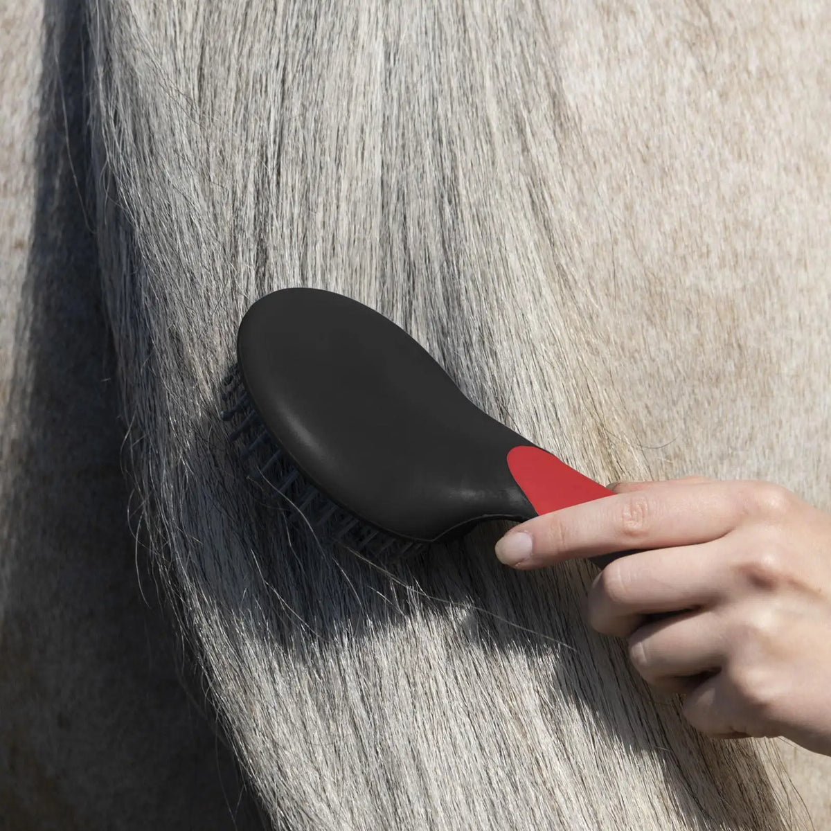 Professional Horse Mane & Tail Grooming Brush | Pearl Comb