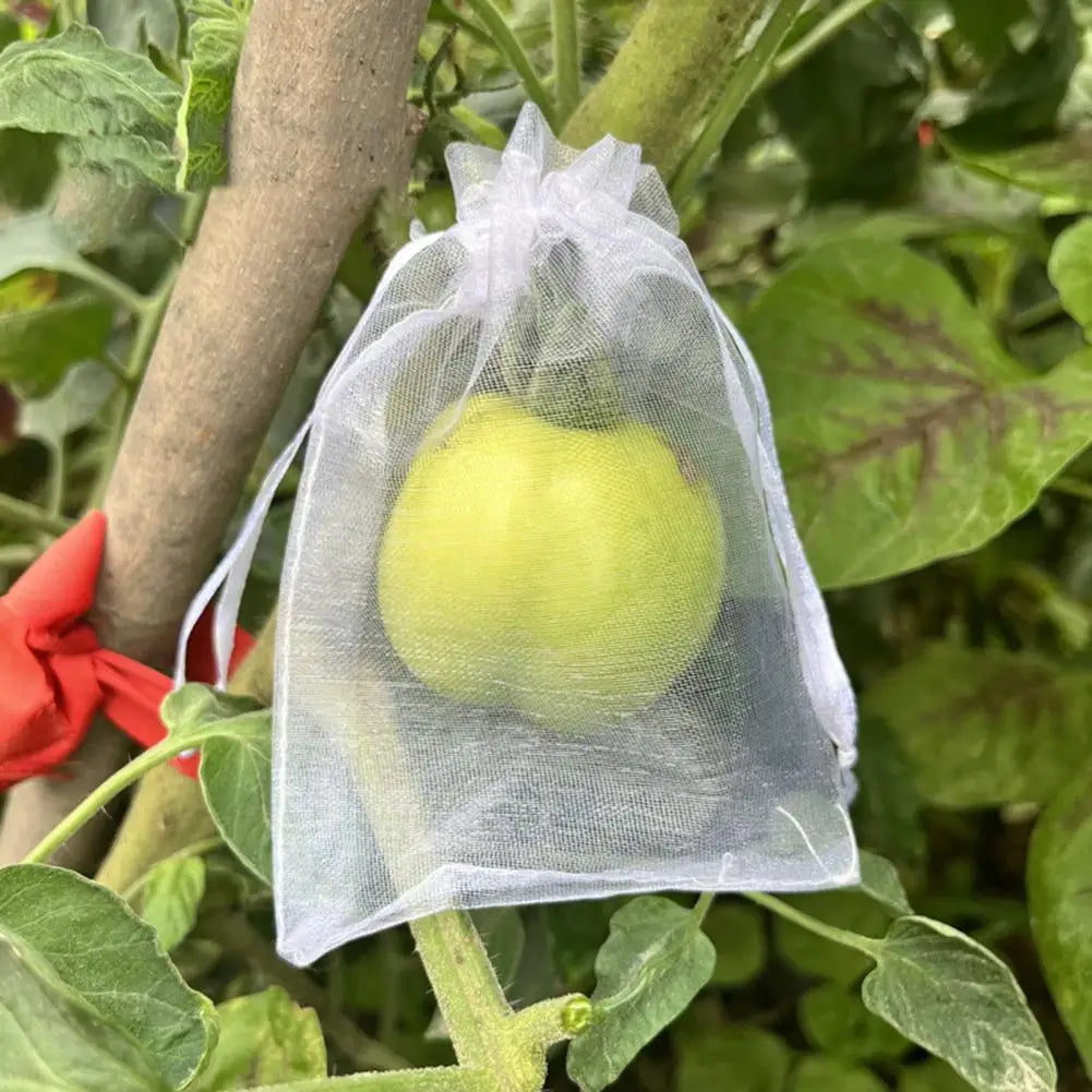 Reusable Mesh Fruit Protection Bags with Drawstring – 10–40 Pack