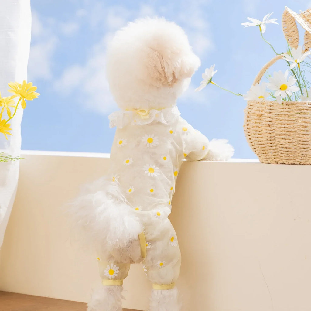 Puppy Breathable Mesh Jumpsuit – Insect-Proof Dog Clothes XS–XL