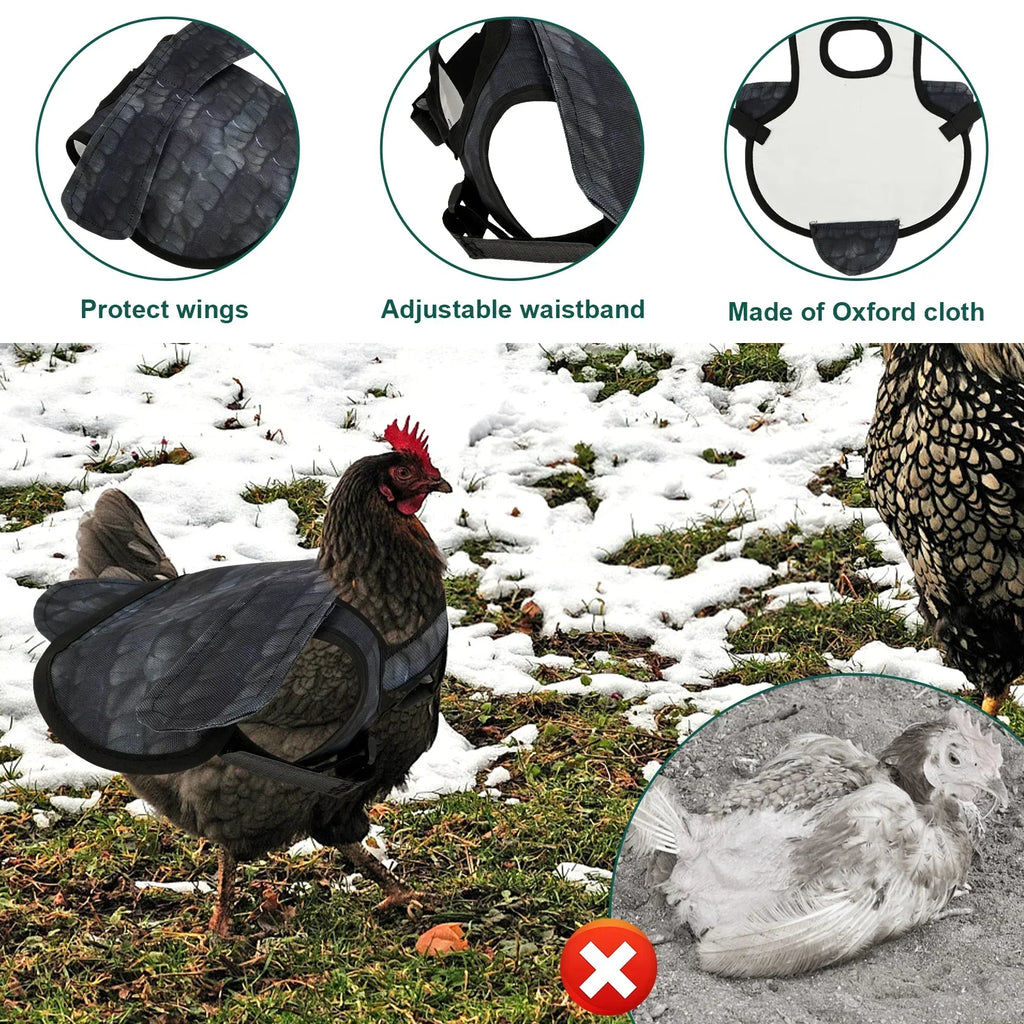 3-Pack Waterproof Chicken Saddle Apron – Adjustable Hen Protector