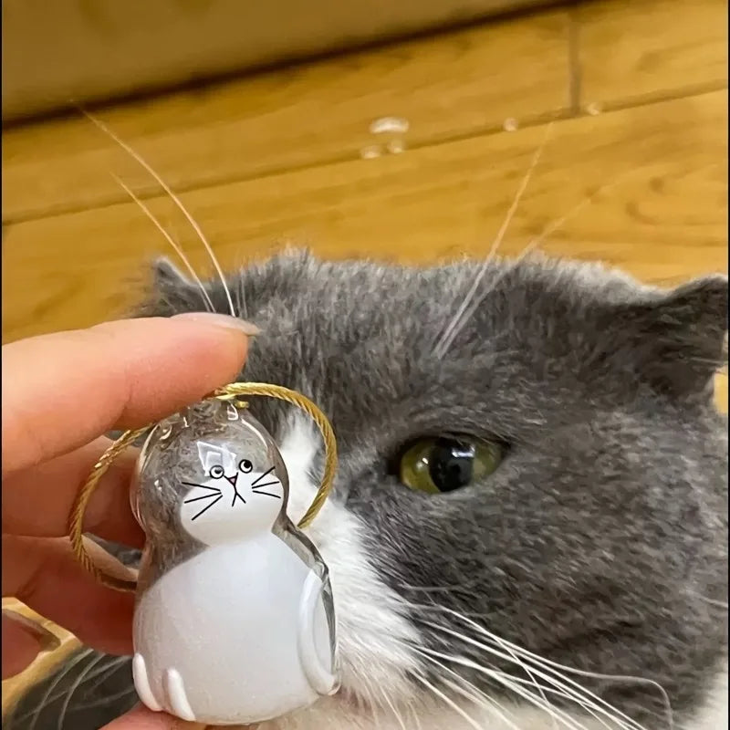 6pcs Pet Hair Keepsake Capsule Charm Keychain Pendant Set
