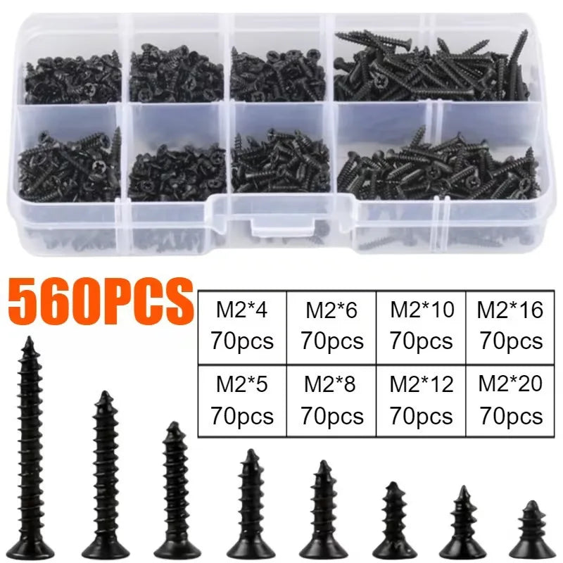 560pcs M2 Carbon Steel Phillips & Flat Head Screws Assortment
