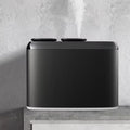DUTRIEUX Double Nozzle Metal Aromatherapy Diffuser Humidifier