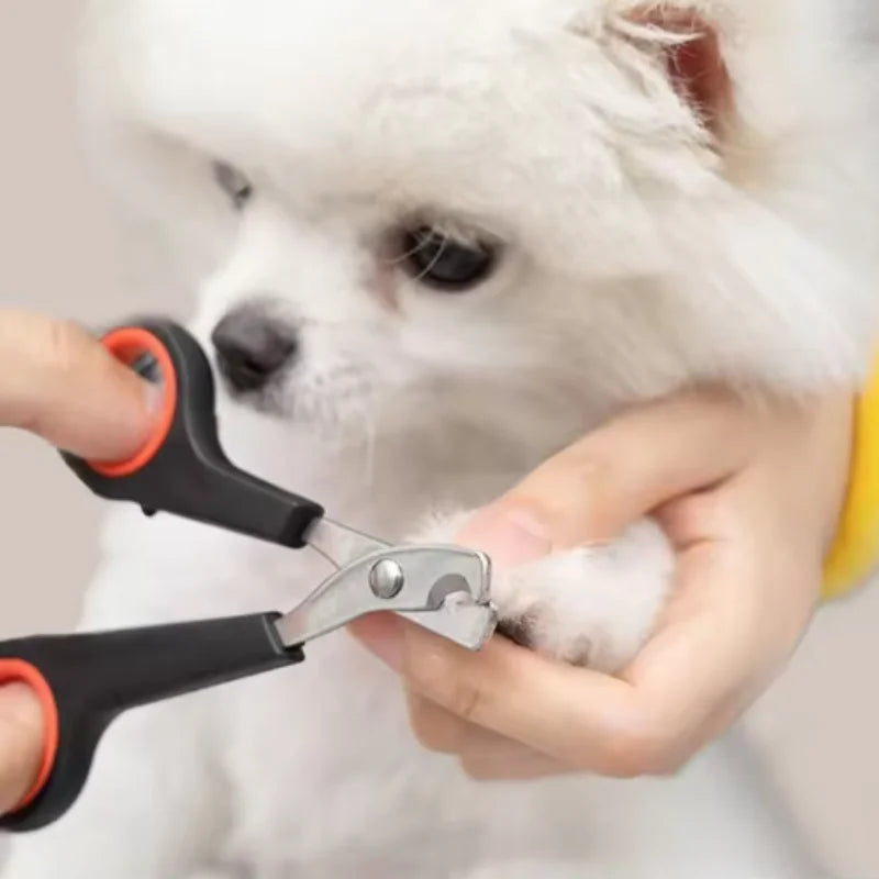 Pet Nail Clippers for Dogs & Cats – Stainless Steel Trimmer
