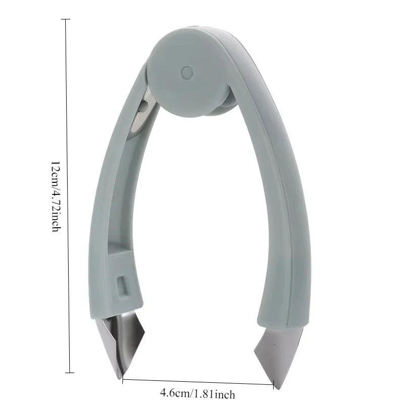 Stainless Steel Pineapple Eye Peeler & Strawberry Remover
