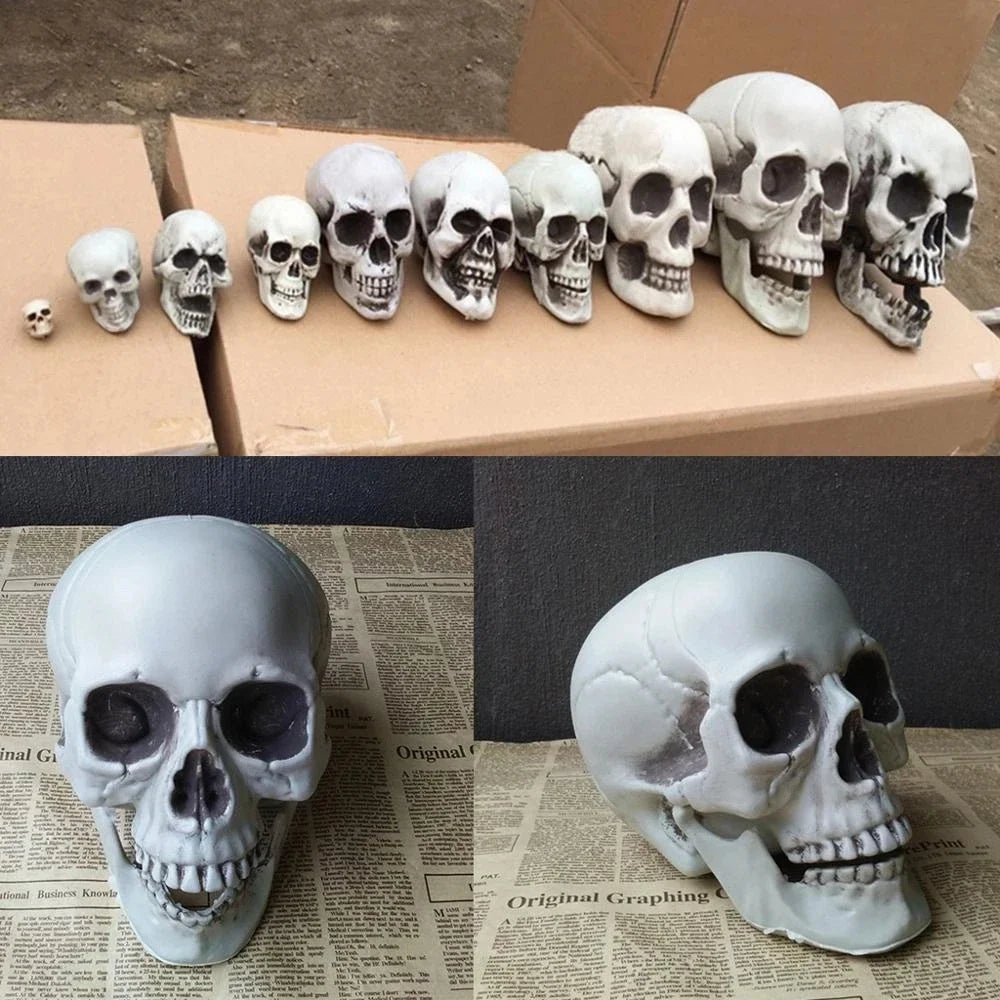 Plastic Skull Head Figurine – Halloween & Party Décor Statue