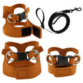 3-Pack Lizard Harness & Leash – Bearded Dragon S/M/L Set