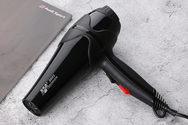 Ion Hair Dryer 900W Quiet Anion – Travel & Salon Styling