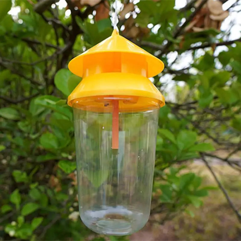 Reusable Fruit Fly Trap with 30-Day Slow-Release Lure | JETTING
