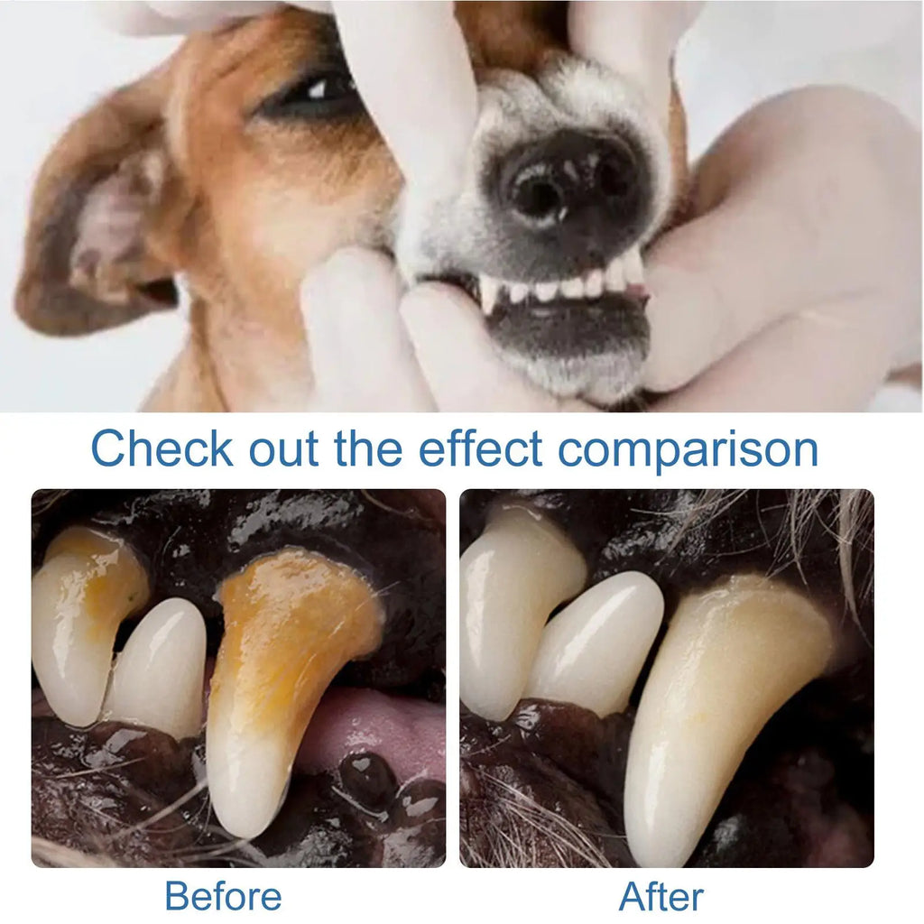 Pet Dental Foam Spray – Tartar & Bad Breath Remover for Dogs & Cats