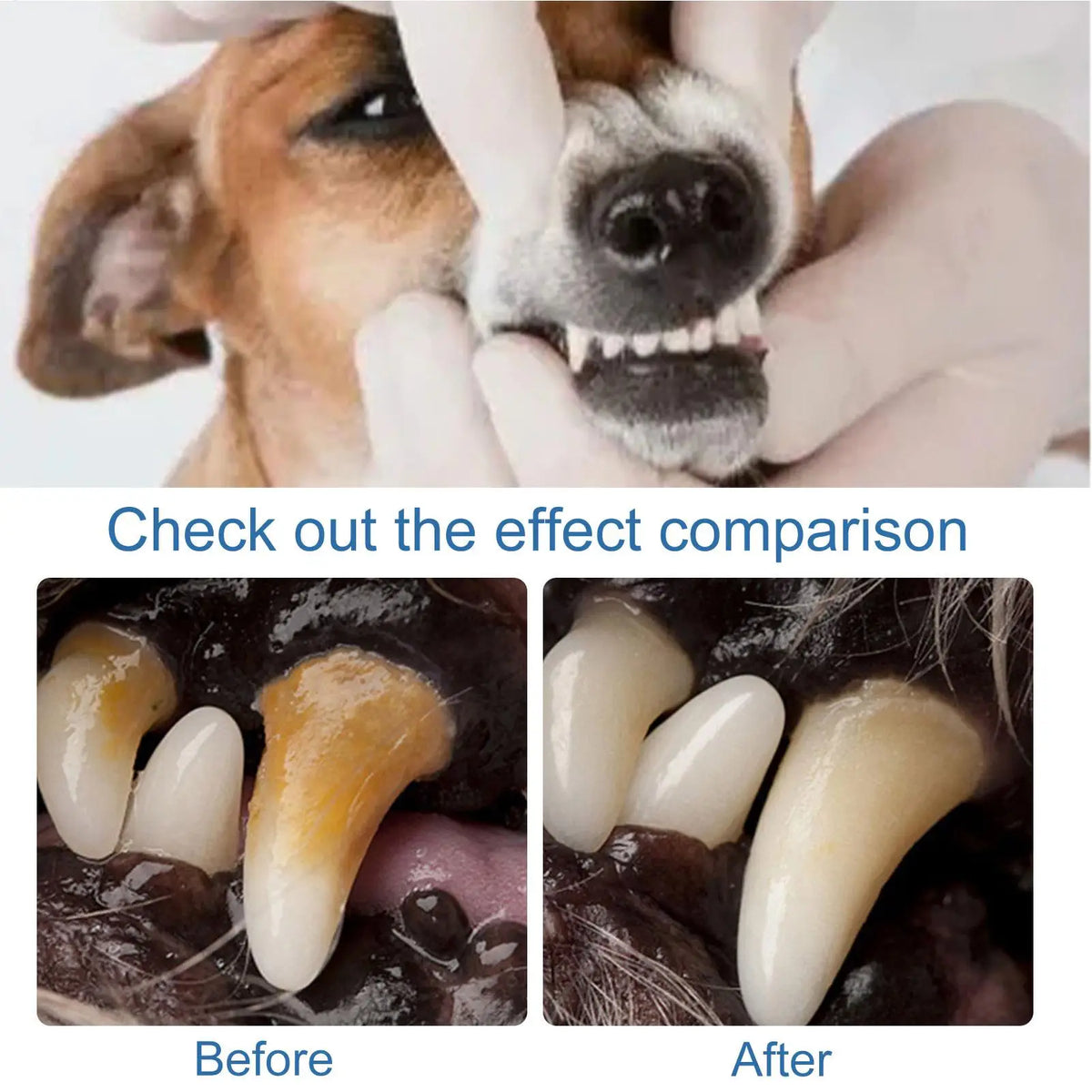 Pet Dental Foam Spray – Tartar & Bad Breath Remover for Dogs & Cats