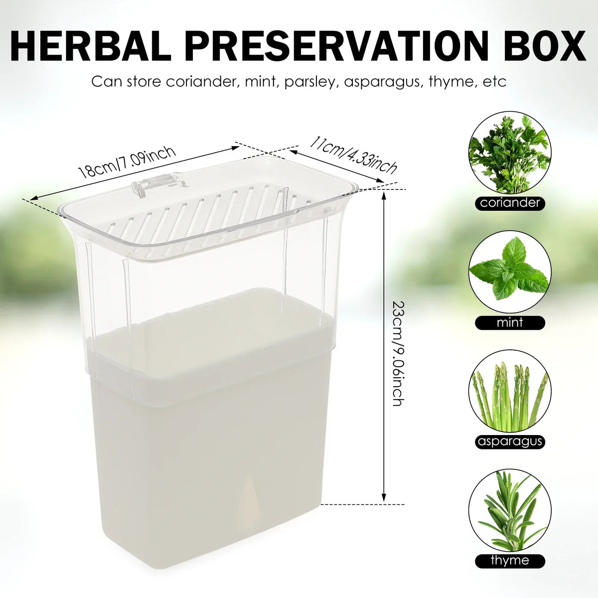 Airtight Herb Keeper Storage Container with 3 Dividers