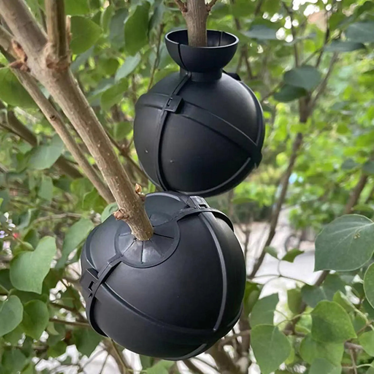 Plant Rooting Ball Propagation Box – Air Layering Tool