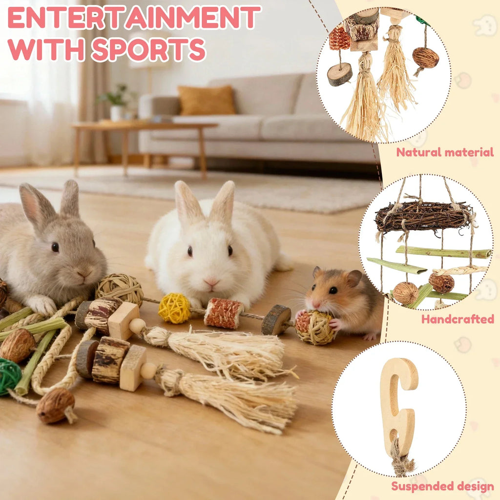 2-Pack Hanging Rabbit Chew Toy – Natural Small Pet Accessory