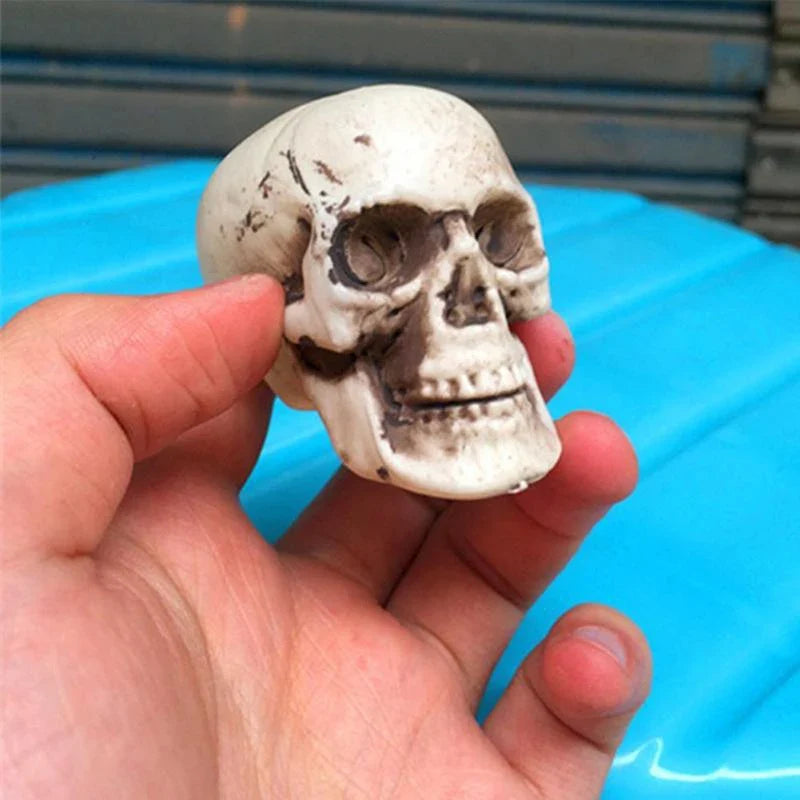 Plastic Skull Head Figurine – Halloween & Party Décor Statue